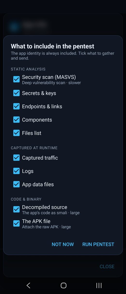 Choose what to include in the AI penetration test